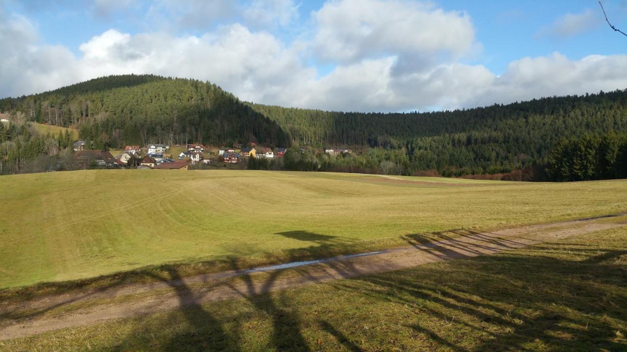 Oeko-Landhotel Basler Hof Lauterbach (Baden-Wurttemberg) Exterior foto