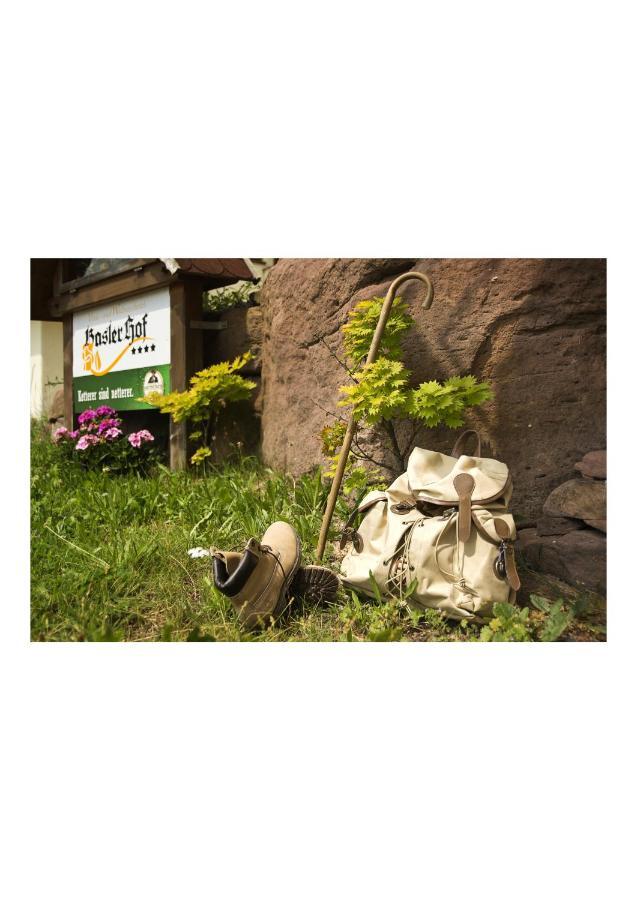 Oeko-Landhotel Basler Hof Lauterbach (Baden-Wurttemberg) Exterior foto